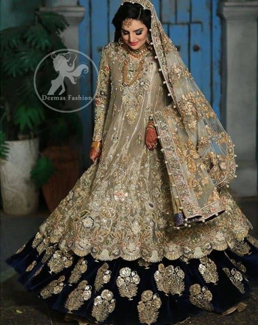 Light Fawn Fully Embroidered Double Layer Pishwash Dupatta with Golden Lehenga