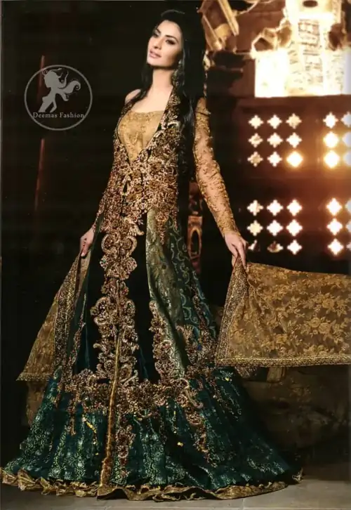 Latest Party Wear Dress Ferozi Blue and Light Brown Back Trail Maxi