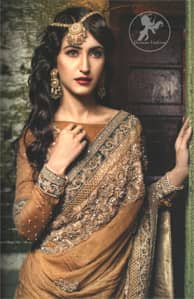 Designer Wear Saree - Golden Embroidered Saree