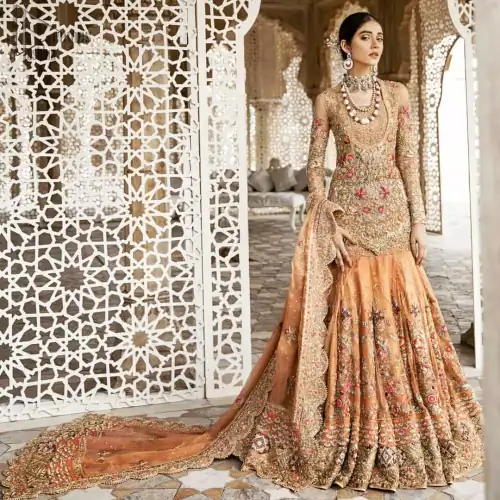 Beautifully elegant with a modern twist. Adorned in an orange embellished with antique detailing all over, this undeniably elegant attire