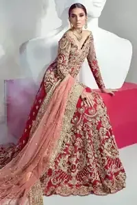 Red Back Train Lehenga Shirt – Tea Rose Dupatta