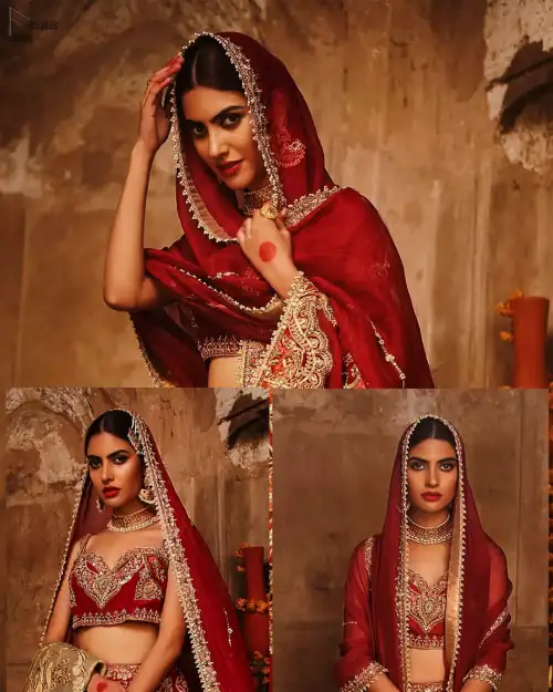 Red Sweetheart Blouse Lehenga Embroidered Dupatta