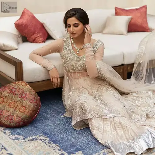 Your aesthetic evening party deserves a little extra treat with your guests admiring you in a Light Fawn Peplum Dupatta.