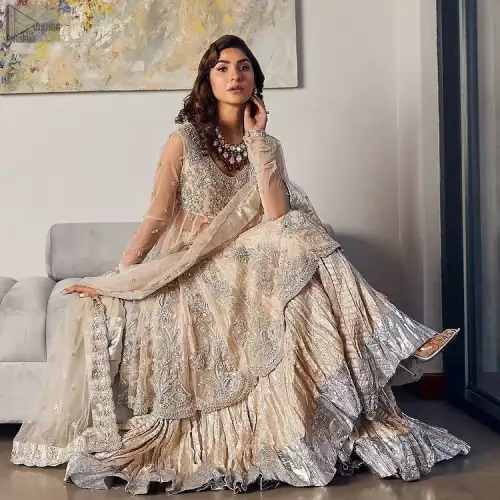 Your aesthetic evening party deserves a little extra treat with your guests admiring you in a Light Fawn Peplum Dupatta.