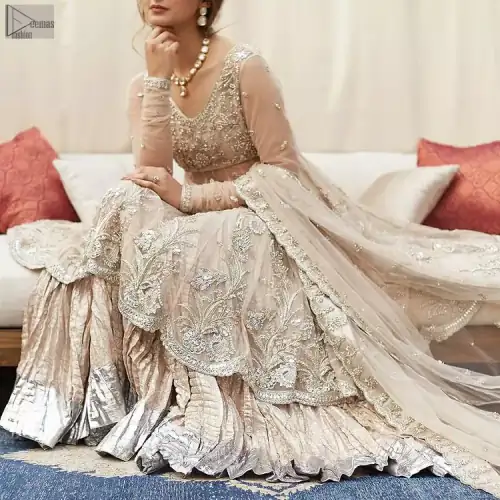 Your aesthetic evening party deserves a little extra treat with your guests admiring you in a Light Fawn Peplum Dupatta.