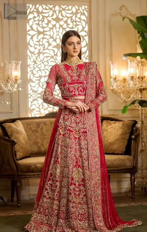 Pakistani Bridal Dress in Open Frock and Lehenga Style | Pakistani bridal  dress, Pakistani bridal, Pakistani bridal dresses