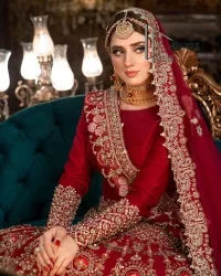 Deep Red Blouse – Fit And Flare Lehenga - Image 10