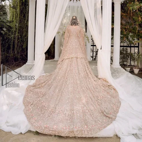 Boost your day with all about rose pink! Presenting the rose pink walima wear which begins with a heavy maxi