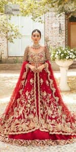Deep Red Maxi – Back Train Lehenga Dupatta - Image 8