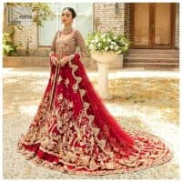 Deep Red Maxi – Back Train Lehenga Dupatta - Image 2