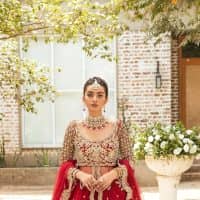 Deep Red Maxi – Back Train Lehenga Dupatta - Image 4