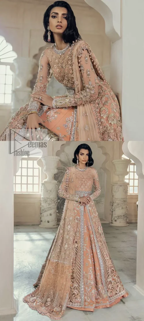 Be the happiest bride in your Walima as the orange colour is the most optimistic among all. The light orange