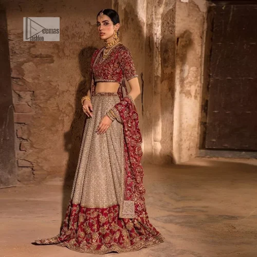 Keep it comfy and attractive with the best DeemasFashion reception wear! A silver flare lehenga encrusted with tilla, dabka, kora,