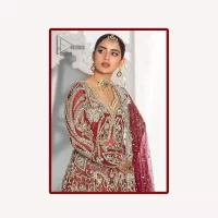 Red Back Train Maxi – Frilled Lehenga – Dupatta - Image 3