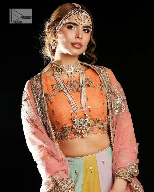 Fun colours, fresh you.  This breathtaking blouse in light orange colour is gracefully adorned with hand-crafted embellishments and lavish golden