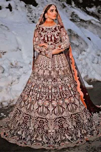 Pakistani Bridal Wear 2024 - New Wedding Dresses Bride