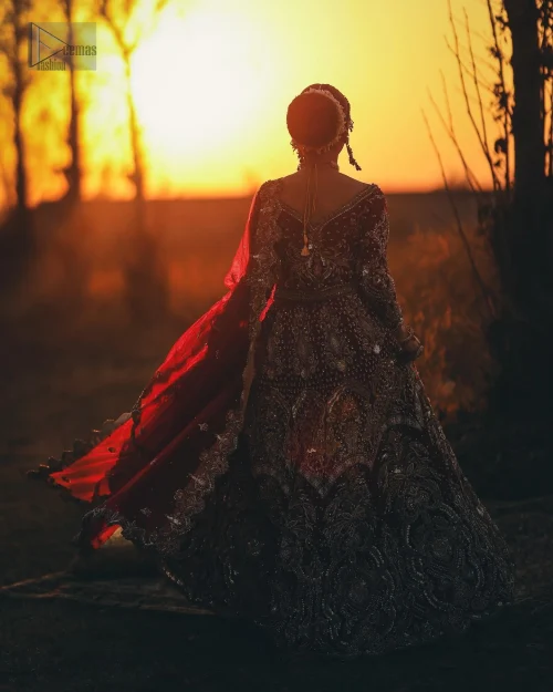 Back View of Red Can Can Lehenga Blouse Fawn Dupatta in the night