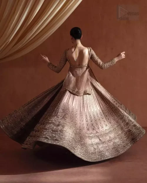 Back Profile Silhouette: Elegant back view of the golden short shirt and lehenga, illustrating a tale of majesty and charm.